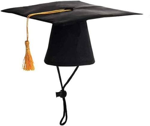Cappello laurea animali - cappello,